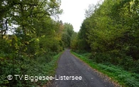 Pfad zum Pumptrack