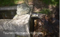 kneippanlage-waschkump3 c) tourist-information-willingen.jpg