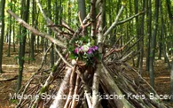 Wald-Tipi