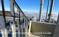Bollbergbergturm_NicoleMüller