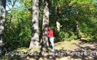 Entspannung pur beim Waldbaden