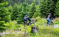 Green Trails Willingen Ruthenaar Intro (1).jpg