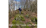 Pfad Bestweg Ostwig Steinberg.jpg