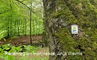 Bestwiger BestWeg Velmede-Bestwig