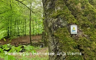 Bestwiger BestWeg Velmede-Bestwig