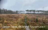 Naturbelassener Pfad