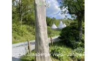 Tipizelte an der Sauerland-Waldroute