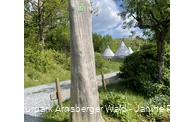 Tipizelte an der Sauerland-Waldroute