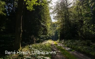 Rahrbacher Poesieweg Richtung Welschen Ennest