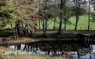 Verträumt wirkender Teich am Wegesrand