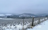 Blick nach Nuttlar auf den Dümel und die Autobahnausfahrt