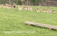 entlang des ZeichenKurs.jpg