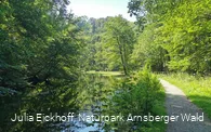 Die Almequellen