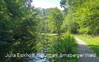 Die Almequellen