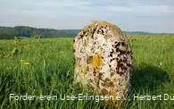 Grenzstein Erlinghausen