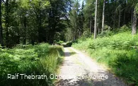 Breite Schotterwege und naturnahe Pfade prägen das Bild des Rundwanderweges