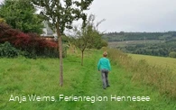 Schaukelweg Ostwig, über einen Wiesenweg