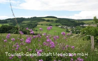 Medebacher Bergweg - Rundwanderung durch Medebach und seine Dörfer