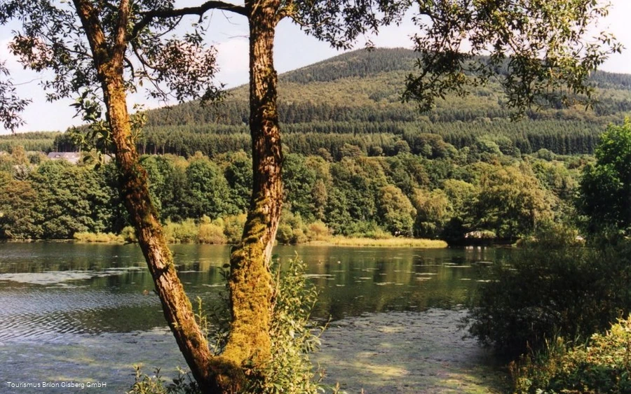 Stausee Stausee