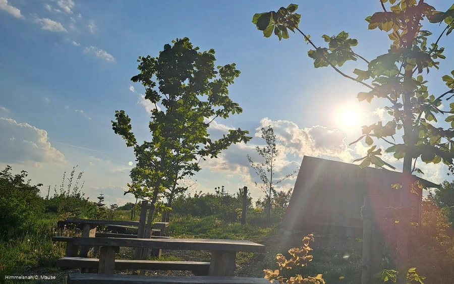 IMG-20241202-WA0153.jpg IMG-20241202-WA0153.jpg