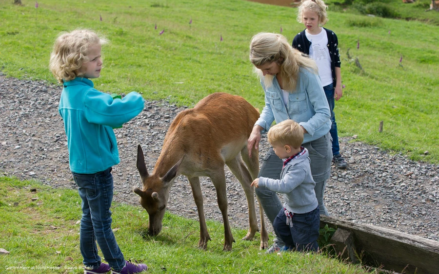 Wildpark Frankenberg (Eder)