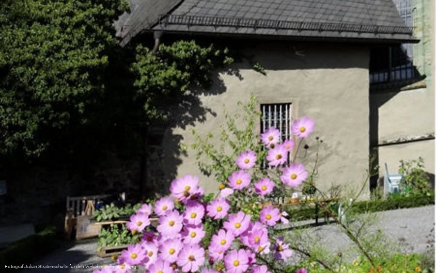 Blüten vor Klosterkirche Blüten vor Klosterkirche