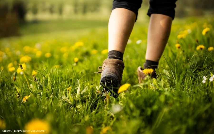 Unterwegs auf dem Kneipp WanderWeg