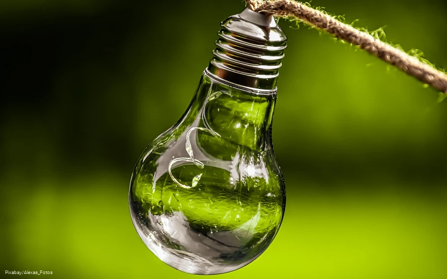 Light bulb with sprout