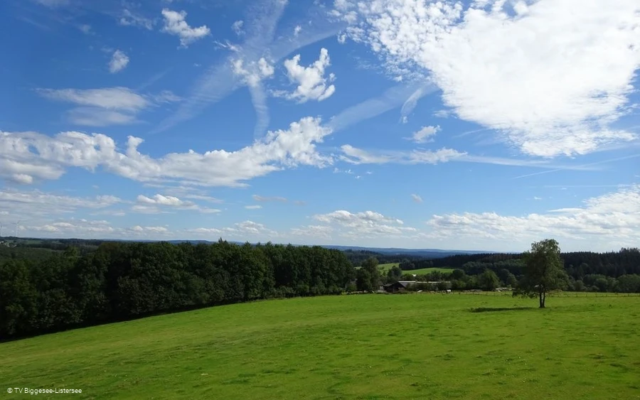 Aussichtsturm Wenden-Heid 6