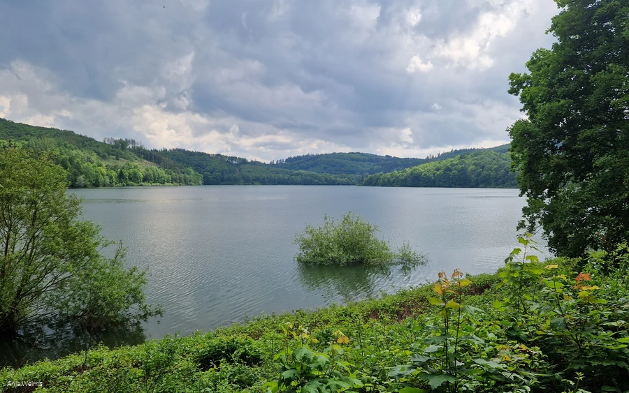 Blick auf den Hennesee Blick auf den Hennesee