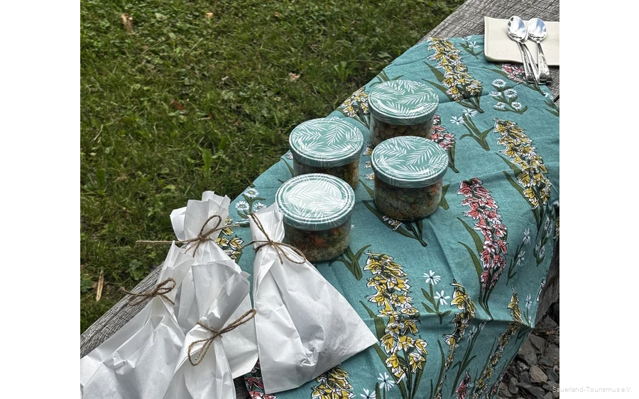 Genusswanderung mit Eva Hennes in den Saalhausener Wäldern