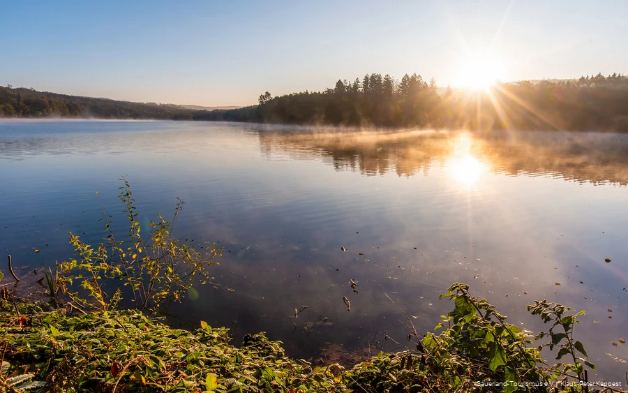 Zonsopgang bij het Hevesee in het natuurpark Arnsberg Woud.