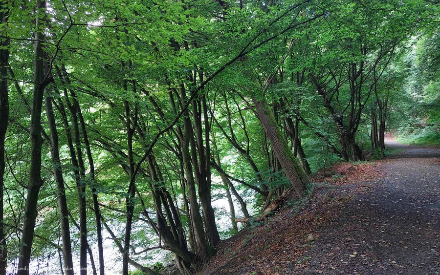 Entlang der Lenne