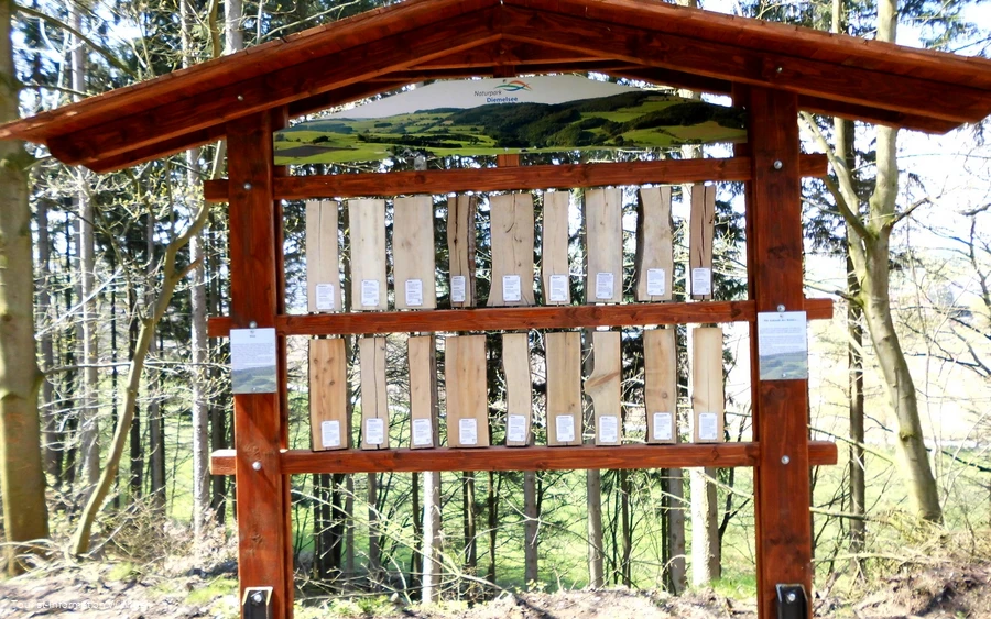 Hölzer an der Goldspur Eimelrod