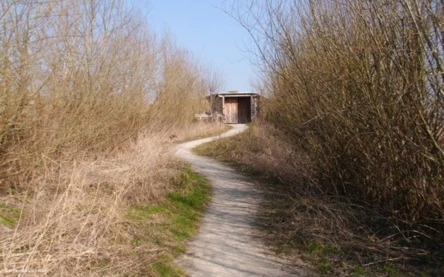 Weg zur Beobachtungshütte