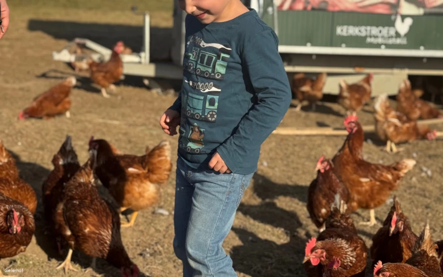 Seilerhof - Junge mit Hühnern.png