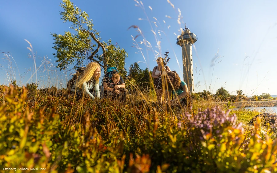 hochheideturm-straeucher-sommer c) ettelsberg-seilbahn-david-heise.jpg hochheideturm-straeucher-sommer c) ettelsberg-seilbahn-david-heise.jpg