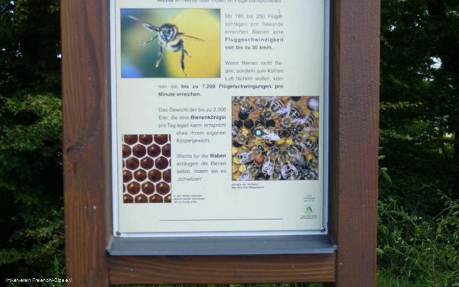 Bienenlehrpfad Freienohl