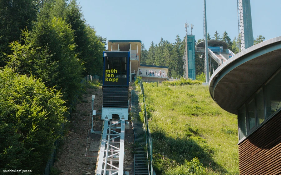 Muehlenkopfliner