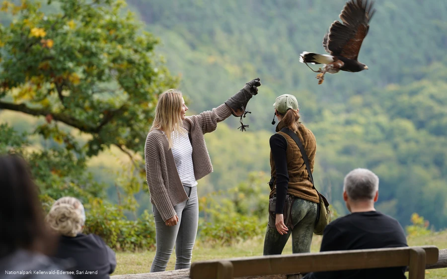 Flugschau im WildtierPark Edersee
