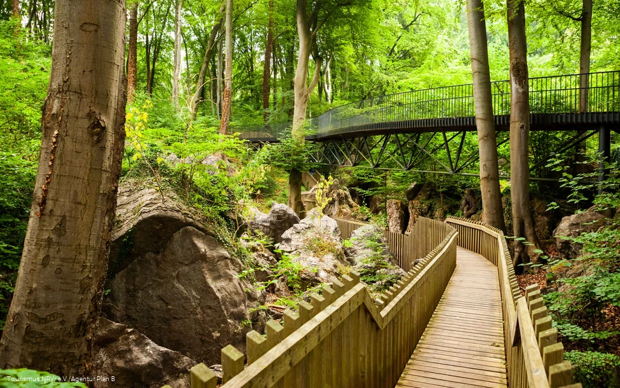 Bruggen en paden in het Felsenmeer Hemer.