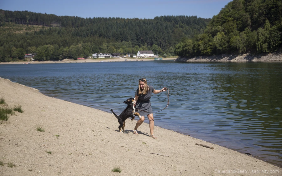 Een hond speelt bij de Diemelsee. Een hondvriendelijke excursie in het Sauerland.