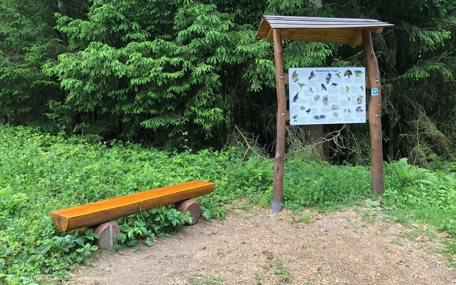Die Infotafel gibt einen Überblick über die heimischen Vogelarten