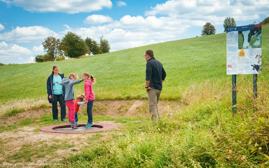Kuhfladentrampolin auf dem Milch-Erlebnispfad Usseln