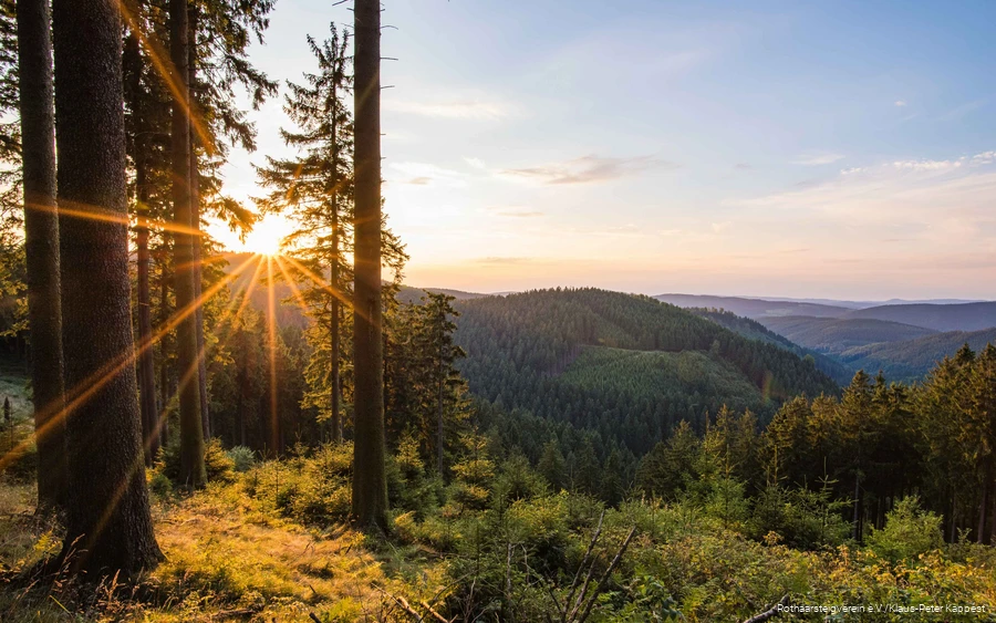 Toller Ausblick in Tal am Rothaarsteig.