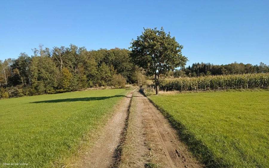 Wanderwegabschnitt VolmeSchatz Sagen auf dem Arney bei Kierspe