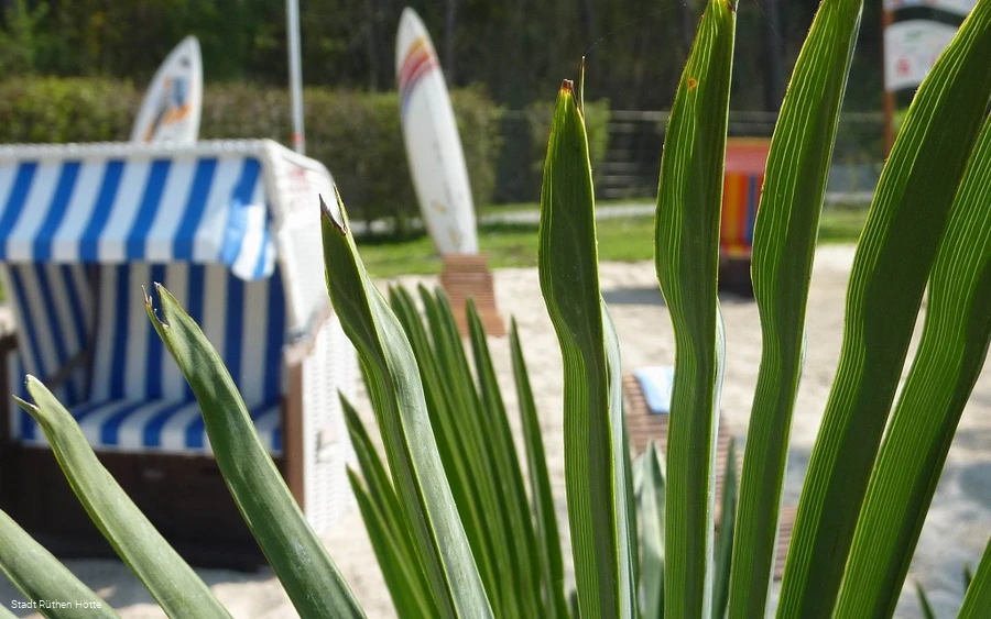 Blick auf die Strandlandschaft