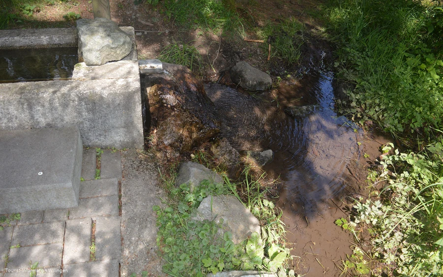kneippanlage-waschkump41 c) tourist-information-willingen.jpg
