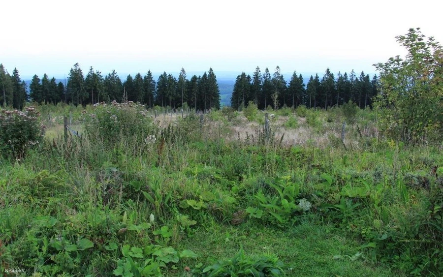 Panoramaausblick Nordhelle