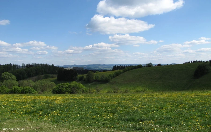 Aussicht auf Wiese